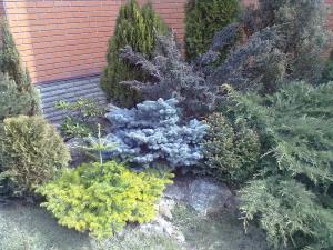 gallery_18160_1210_415457.jpg