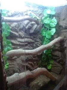 gallery_19439_1216_113255.jpg