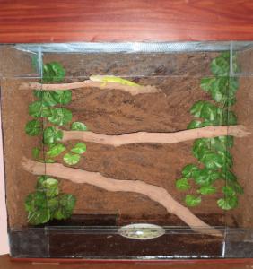 gallery_19439_1216_34700.jpg