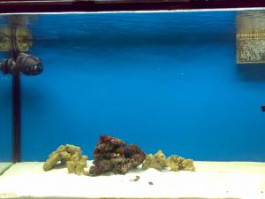 gallery_19426_1230_48477.jpg