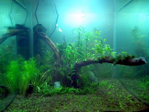 gallery_19677_1238_1674998.jpg