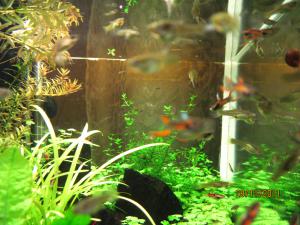 gallery_7221_1228_3692963.jpg