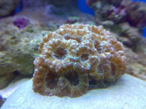 gallery_19426_1230_297741.jpg