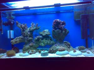 gallery_19426_1230_327610.jpg
