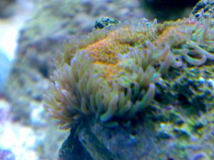 gallery_19426_1230_440211.jpg