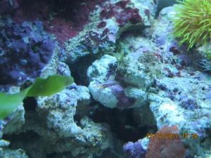 gallery_15405_1143_1160777.jpg