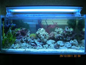 gallery_15405_1143_430303.jpg