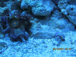 gallery_15405_1143_1139195.jpg