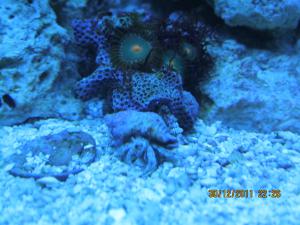 gallery_15405_1143_655395.jpg
