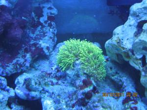 gallery_15405_1143_66756.jpg