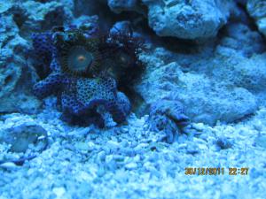 gallery_15405_1143_869232.jpg