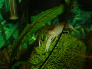 gallery_19566_1257_1188955.jpg