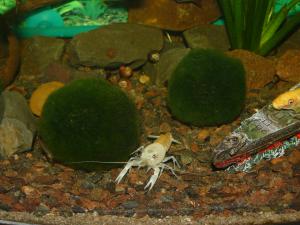 gallery_19566_1257_1771325.jpg