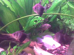 gallery_20201_1258_3807.jpg