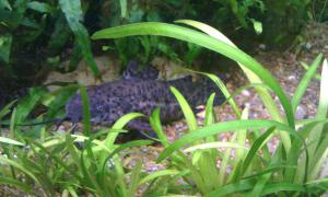 gallery_20236_1259_1171170.jpg