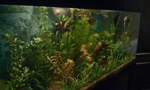 gallery_20236_1259_332957.jpg