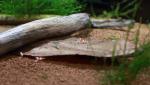 tn_gallery_12361_1261_3248.jpg