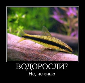 gallery_20328_1270_26795.jpg