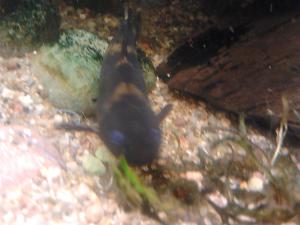 gallery_20417_1273_1254446.jpg