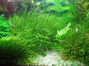 gallery_6716_1268_67542.jpg