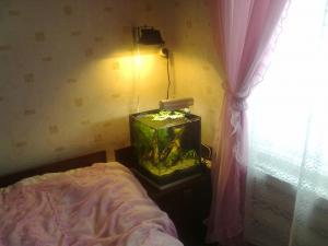 gallery_20430_1274_180566.jpg