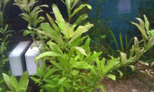 gallery_20236_1259_276041.jpg