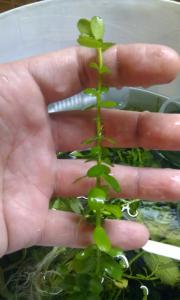 gallery_20236_1259_61810.jpg
