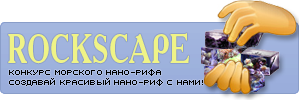 gallery_1_1_3578.png