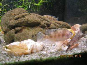 gallery_15405_1282_1181094.jpg