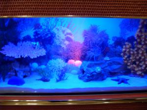 gallery_20669_1286_1237210.jpg
