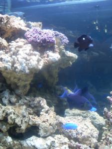 gallery_20669_1286_2545859.jpg