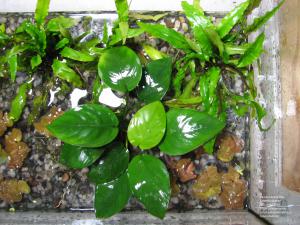 gallery_11723_1289_349225.jpg