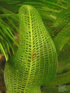 gallery_11723_1289_421914.jpg