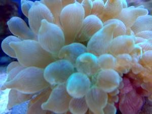 gallery_19426_1230_367166.jpg
