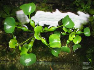 gallery_11723_1289_1134213.jpg