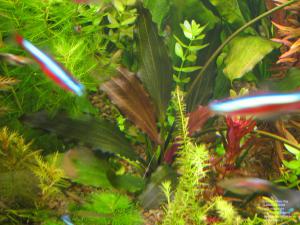 gallery_11723_1289_1153457.jpg
