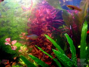 gallery_11723_1289_1578501.jpg