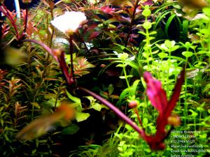 gallery_11723_1289_834199.jpg