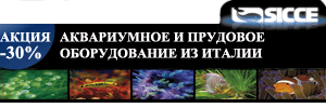 gallery_1_1_9721.gif