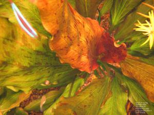gallery_11723_1289_810095.jpg