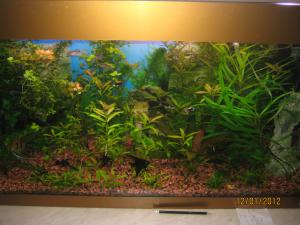 gallery_18844_1291_318742.jpg
