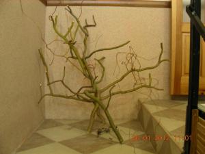 gallery_20828_1293_283767.jpg