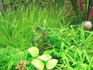 gallery_10157_557_2162546.jpg