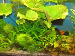 gallery_16956_1294_2183146.jpg