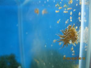 gallery_15405_1163_446839.jpg