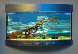 gallery_20669_1307_14968.jpg
