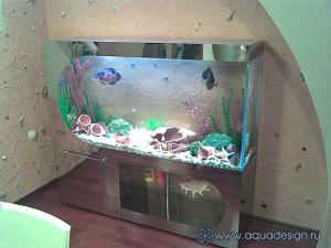 gallery_20669_1307_5134.jpg