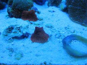 gallery_10756_893_2556714.jpg