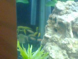 gallery_20903_1315_19932.jpg