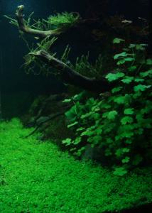 gallery_11574_579_69226.jpg